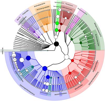 Metagenomic Analysis of the Gut Microbiome of the Common Black Slug Arion ater in Search of Novel Lignocellulose Degrading Enzymes